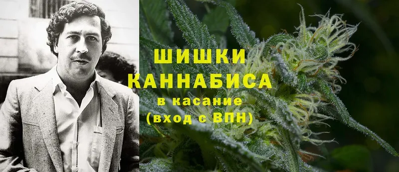 blacksprut вход  Знаменск  Бошки марихуана OG Kush 